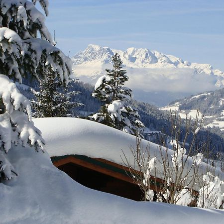 Chalets Ebner Eben Im Pongau Exterior foto